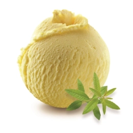 Glace verveine 2.5L x1 - Création Philippe Faur