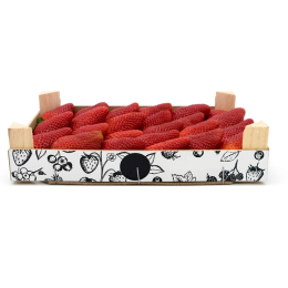 Fraise ronde plateau 1Kg