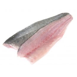 Filet de bar a/p 140/180g x2Kg origine TURQUIE