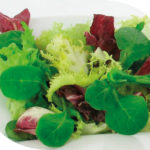 Salade gourmande( Frisée, Trevise, Mâche) - ROSÉE DES CHAMPS