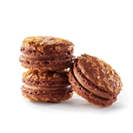 Macaron pâte à tartiner 4.2cm (16g x45) - Création Philippe Urraca