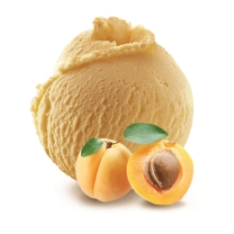 Sorbet - Absolument plein fruit abricot 2.5L x1