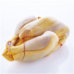 Poulet jaune nu bridé PAC 1.2Kg env France x4