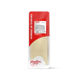 Tranches de mozzarella 5x10cm (15g x33) 21%Mg 500g