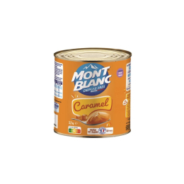 Crème dessert caramel boite 3/1 - MONT BLANC