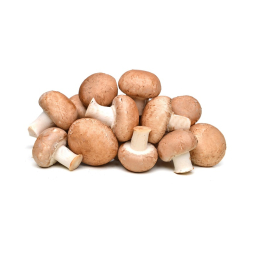 Champignon de Paris brun Cat1 (au colis de 3Kg)