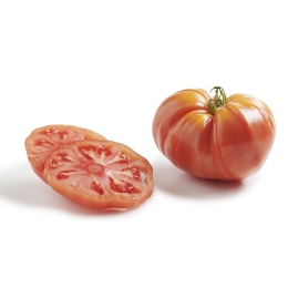 Tomate coeur de boeuf France C1