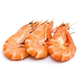 Crevettes cuites calibre 20/30 origine Equateur 2Kg