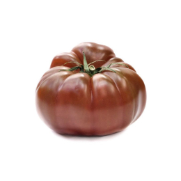 Tomate noire de crimée France C1