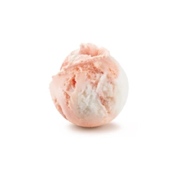 Sorbet - Fusion d'agrumes 6L x1