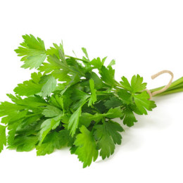 Persil plat vrac au Kg