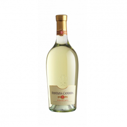 Frascati font candida DOC 75cl - BLANC - LAZIO - FONTANA CANDIDA