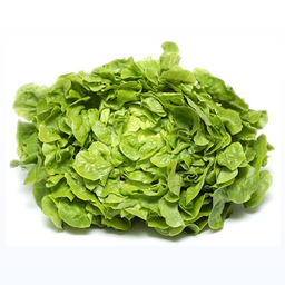 Feuille de chêne salade Cat1 (à la pièce) +/- 350g