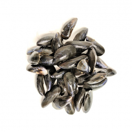 Moules de bouchots lavées 10Kg