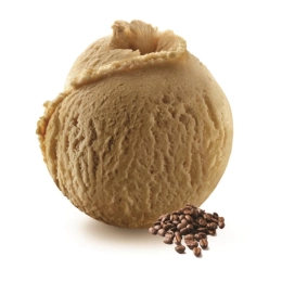 Glace café 2.5L x1 - Création Philippe Faur