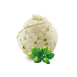 Sorbet - Basilic 2.5L x1 - Saveurs du Jardin