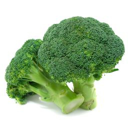 Brocoli *Bio* Cat1 (au colis de 8Kg)