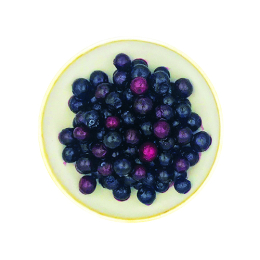 Myrtilles IQF (1Kg x5) - FRUITS ROUGES & CO - Surgelé