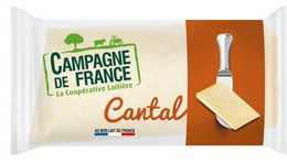 Cantal AOP 28%Mg/FP (25g x100) - mdd
