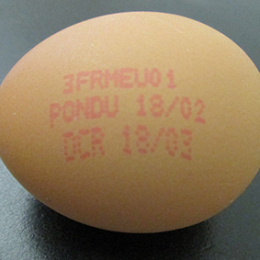 Oeufs vrac très gros SOL (+73Gx200)/15KG