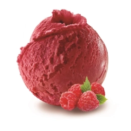 Sorbet framboise 2.5L x1 - Création Philippe Faur