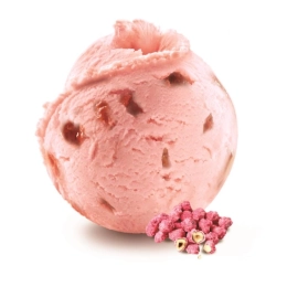 Glace - Praline rose 2.5L x1