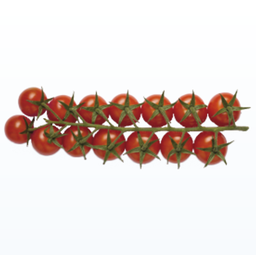 Tomate cerise grappe Cat1 (au Kg/au détail)