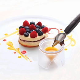 Coulis - Coulis exotique 500g x6