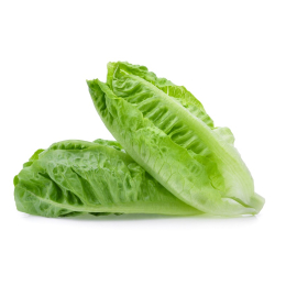 Salade - Laitue coeur 4G (400g x8)