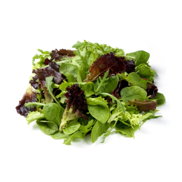 Salade - Jeune pousse tendre 4G (250g x8)