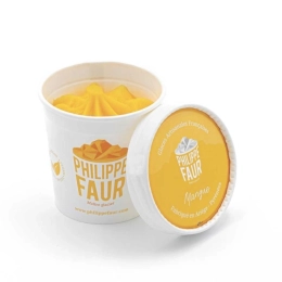 Glace Les petits pots - Mangue 100ml x9 - Création Philippe Faur