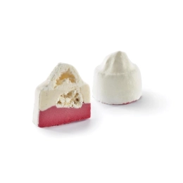 Dessert individuel glacé - Vacherin vanille framboise 90g x12