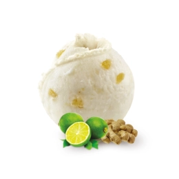 Glace - Coco curry 2.5L x1