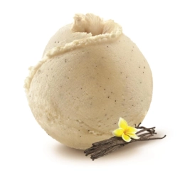 Glace vanille parisienne 2.5L x1 - Création Philippe Faur