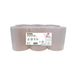 Essuie-mains rouleaux DC 2plis Eco col 20x30cm (450F x6) - GLOBAL HYGIÈNE