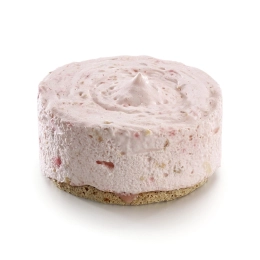 Dessert individuel glacé - Nougat glace aux pralines roses & abricot 85g x12