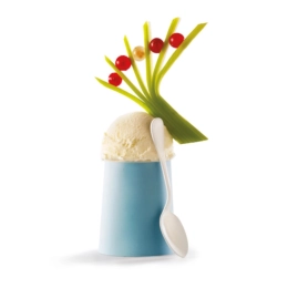 Glace - Bulgare nature 2.5L x1