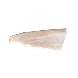 Filet d'omble fontaine a/p 100g+ (3 ou 5Kg) - Pisciculture PETIT JURA