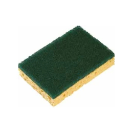 Eponge double face grattante verte grand modèle x10 - SPONTEX
