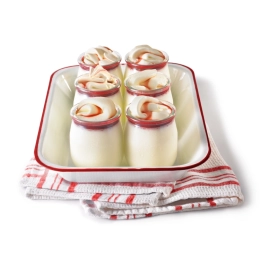 Glace - Bulgare groseille 2.5L x1