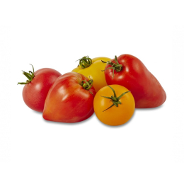 Tomate mélange saveur d'antan
