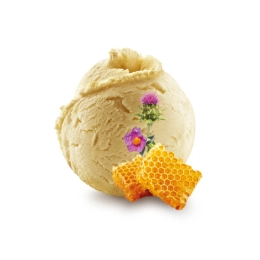 Sorbet - Miel de fleurs de garrigue 2.5L x1