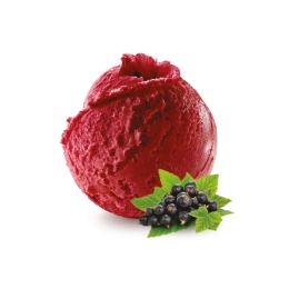 Sorbet cassis BIO 2.5L x1