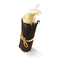 Glace - Vanille façon crème anglaise 2.5L x1