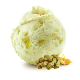 Glace - Gingembre et gingembre confit 2.5L x1