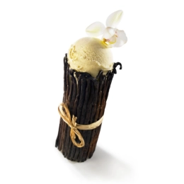 Glace - Vanille Madagascar 2.5L x1