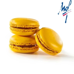Macaron mangue passion 4.2cm 16g x45 - Création Philippe Urraca