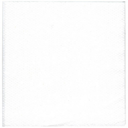 Serviette ouate blanche 1 pli (300x300mm) [4000 (20x200)]