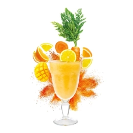 Smoothies - Sunshine power (carotte, mangue, orange, citron) 150g x15