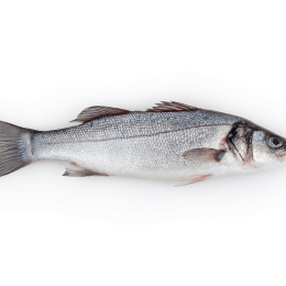 Bar élevage 300/400g colis de 6Kg élevage Turquie